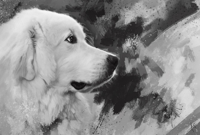 Обои картинки фото рисованное, животные,  собаки, белая, собака, рисунок, мазки, черно-белое, морда, нарисованная, графика, картина, живопись