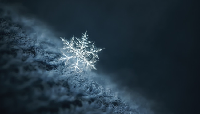 Обои картинки фото природа, макро, свитер, снежинка