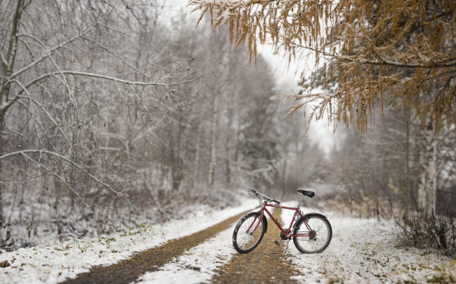 Обои картинки фото техника, велосипеды, велосипед, осень, снег, лес