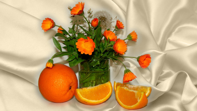 Обои картинки фото еда, натюрморт, авторское, фото, елена, аникина, лето, апельсин, календула, оранжевый, цвет, цветы