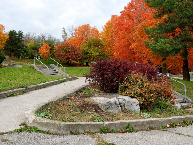 Обои картинки фото природа, парк, аллея, осень