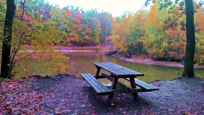 Обои картинки фото природа, реки, озера, осень, река, скамейка