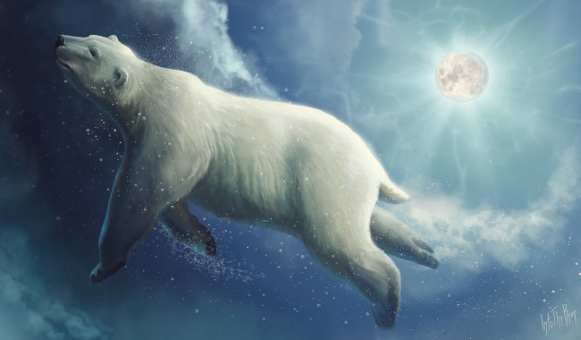 Обои картинки фото рисованное, животные,  медведи, into, the, bear, polar, deep, sky, белый, медведь, фантастика, art, луна, рисунок, clouds, moon, by
