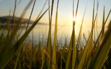 Картинка природа восходы закаты трава озеро рассвет