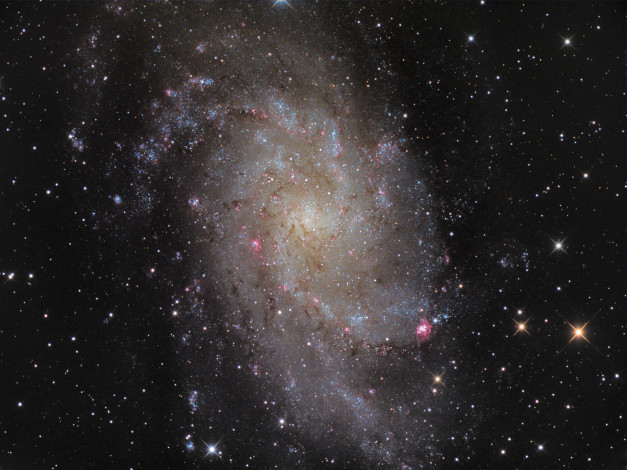 Обои картинки фото m33, космос, галактики, туманности