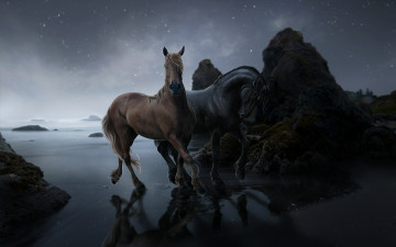 Картинка 3д графика animals животные кони камни вода