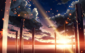 Картинка аниме *unknown другое листья небо восход