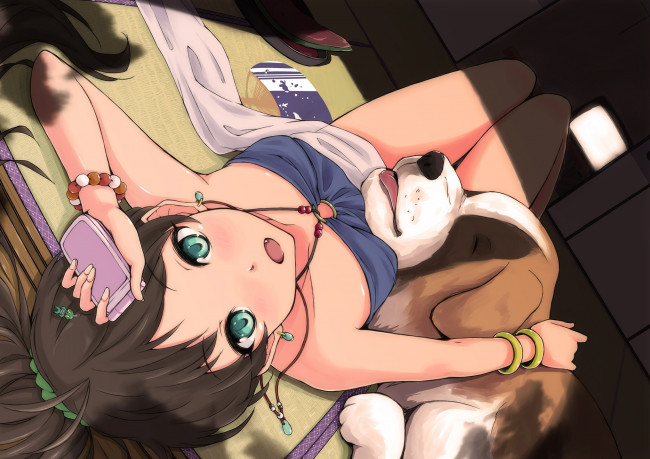 Обои картинки фото аниме, animals, лежит, собака, ganaha, hibiki, телефон, девушка, idolmaster