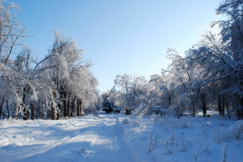 Картинка природа зима