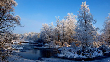 Картинка природа зима деревья снег река