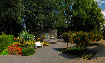 Картинка германия остров mainau природа парк цветов