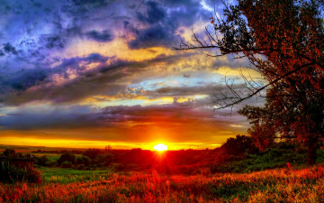 Картинка природа восходы закаты закат поле трава деревья