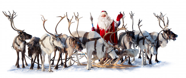 Обои картинки фото праздничные, дед, мороз, олени, сани