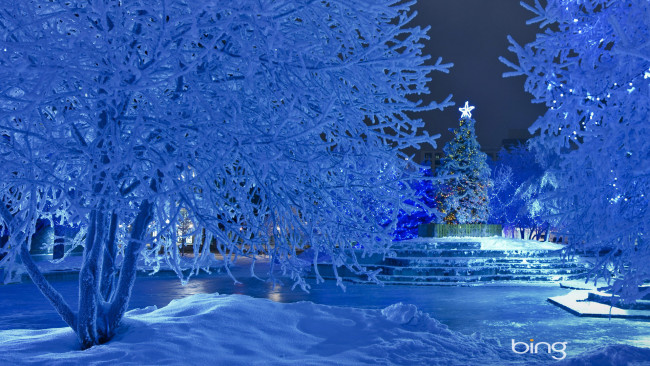 Обои картинки фото праздничные, новогодние, пейзажи, зима, снег, деревья, ёлка