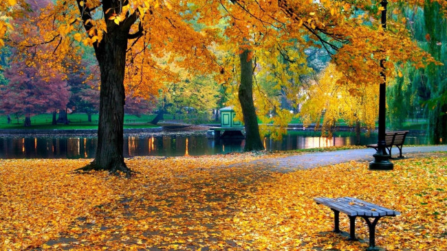 Обои картинки фото природа, парк, осень, скамейка, деревья
