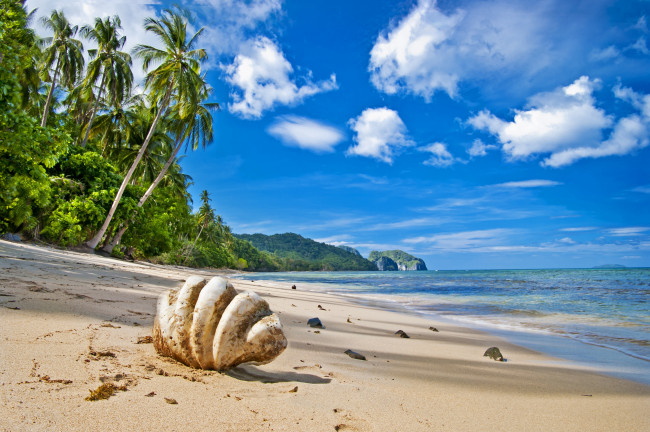 Обои картинки фото природа, тропики, океан, побережье, пляж, песок, пальмы, облака