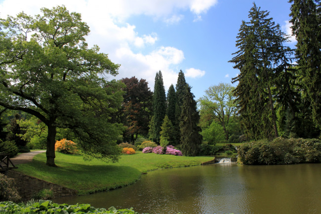 Обои картинки фото Чехия, pruhonice, природа, парк, водоем, деревья