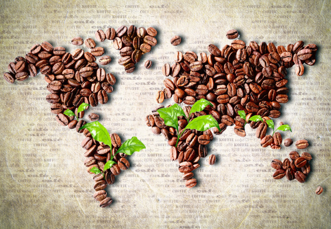 Обои картинки фото еда, кофе, кофейные, зёрна, африка, америка, евразия