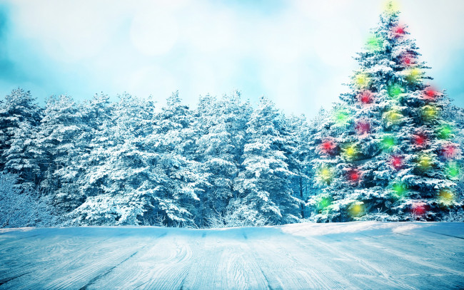 Обои картинки фото праздничные, Ёлки, nature, снежинки, зима, снег, елка, snow, winter, лес