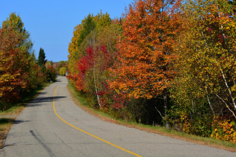 Картинка природа дороги шоссе дорога осень