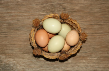 Картинка еда Яйца яйца свежие