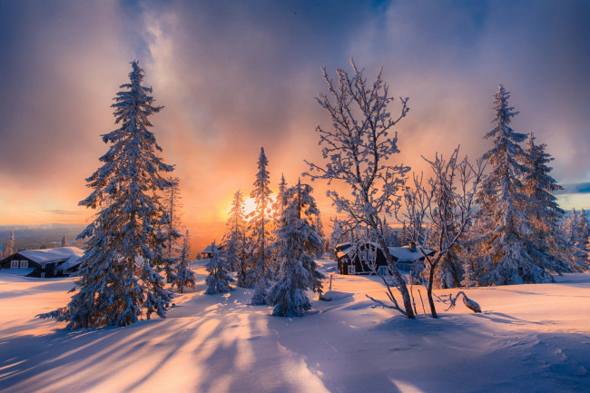 Обои картинки фото природа, зима, ели, дома, пейзаж, деревья, снег, солнце