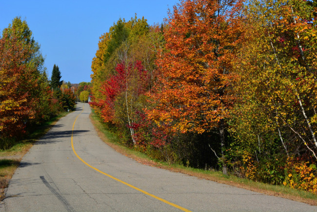 Обои картинки фото природа, дороги, шоссе, дорога, осень