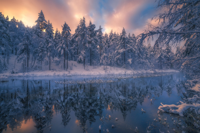 Обои картинки фото природа, реки, озера, река, лес, снег