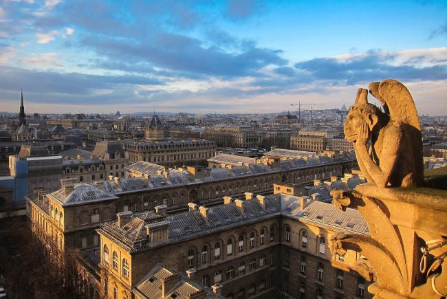 Обои картинки фото города, париж , франция, химера, панорама