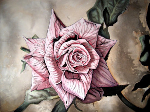 Картинка рисованное цветы розовая цветок роза