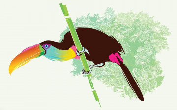 Картинка рисованное животные птица ветка
