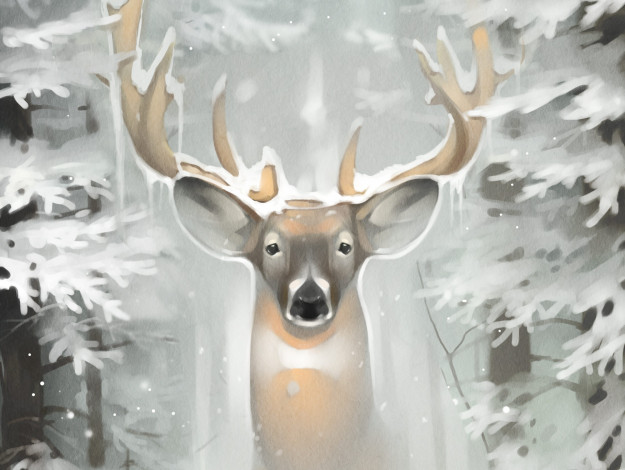 Обои картинки фото gaudibuendia, рисованное, животные,  олени, рога, взгляд, олень, снег, зима, ели, лес