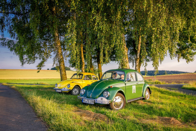 Обои картинки фото автомобили, volkswagen, жук