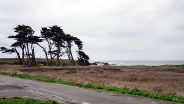 Картинка природа дороги побережье дорога деревья