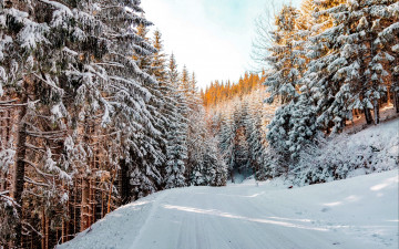 Картинка природа зима сугробы снег лес