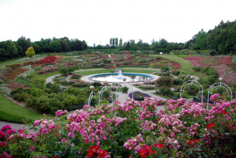 Картинка природа парк фонтан клумбы цветы