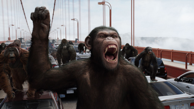 Обои картинки фото кино, фильмы, rise, of, the, planet, apes, сан, франциско, мост, машины, обезьяны