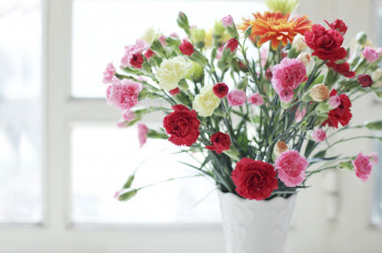 обоя цветы, гвоздики, ваза, букет