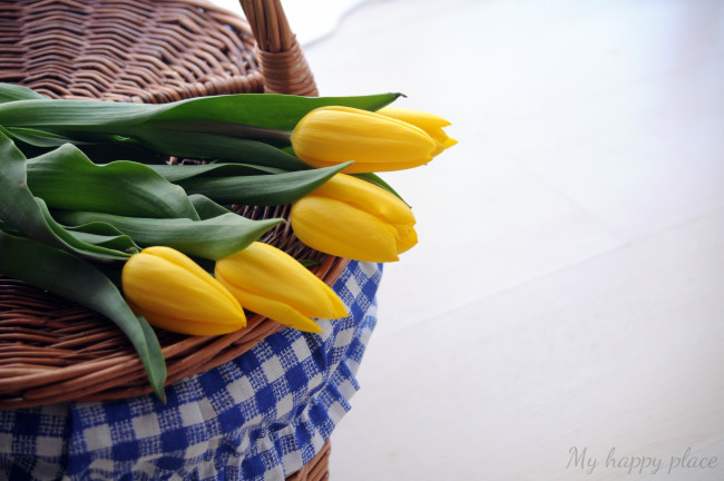 Обои картинки фото цветы, тюльпаны, желтый, корзинка, надпись