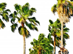 Картинка разное компьютерный+дизайн пальмы