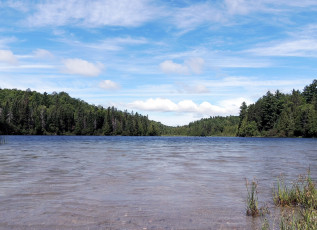 Картинка природа реки озера лето озеро вода