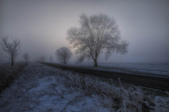 Картинка природа дороги деревья туман дорога снег