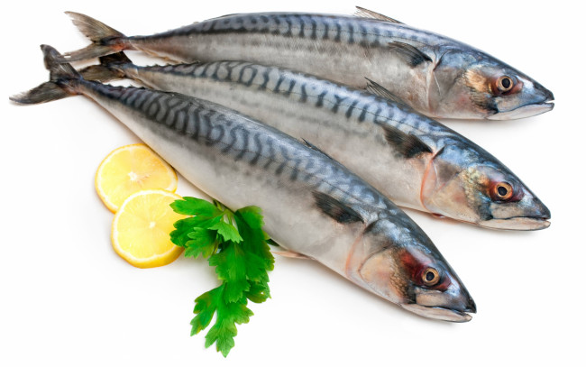 Обои картинки фото еда, рыба,  морепродукты,  суши,  роллы, скумбрия, петрушка, лимон
