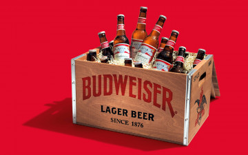 Картинка бренды budweiser пиво