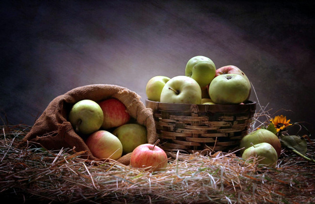 Обои картинки фото еда, Яблоки, урожай, яблоки, сено