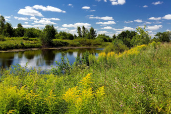 Картинка природа реки озера река трава лето облака