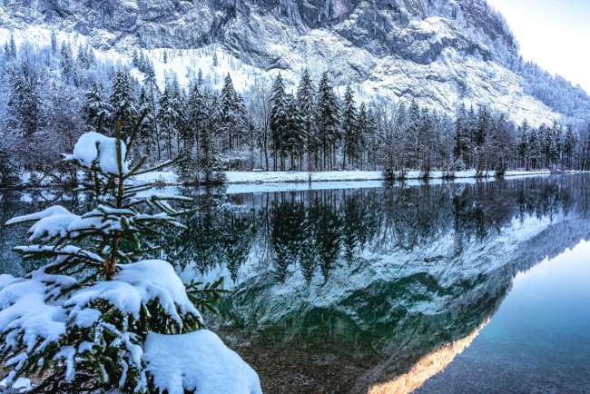 Обои картинки фото природа, реки, озера, зима, горы, деревья, снег, река, вода