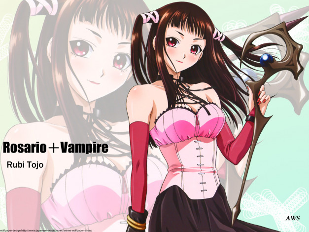 Обои картинки фото аниме, rosario, vampire