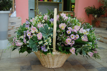 Картинка цветы букеты композиции хризантемы корзина ромашки тюльпаны
