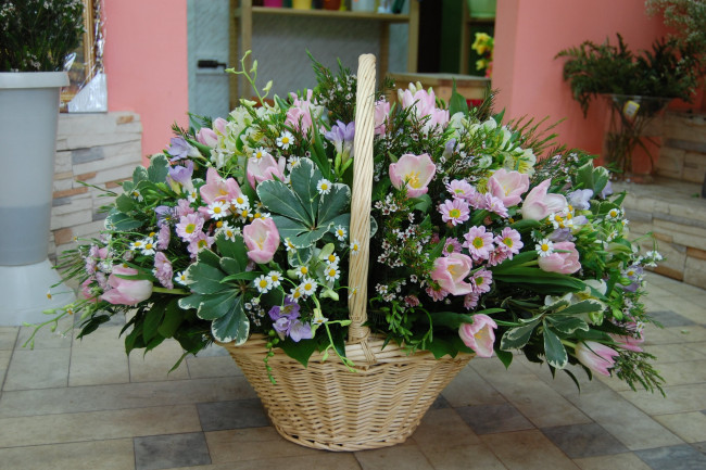 Обои картинки фото цветы, букеты, композиции, хризантемы, корзина, ромашки, тюльпаны